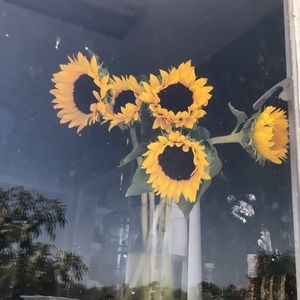 Meet your Posher, Sol